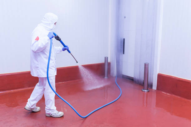 Pre-Holiday Cleaning in Social Circle, GA